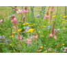 Honningbi-fest (100 g) - flerårig  blomstermarks frøblanding